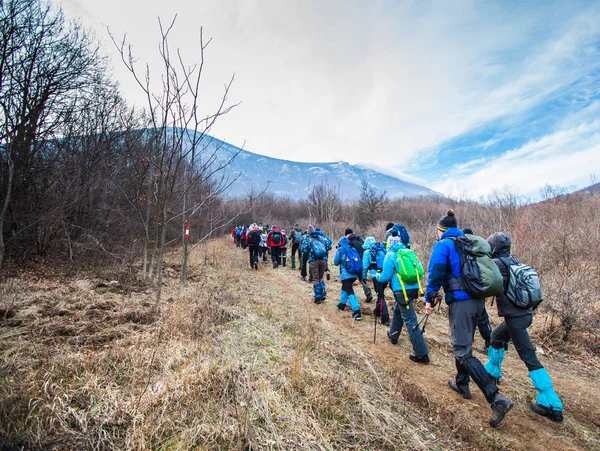 Wandelgroep Avontuur Mensen Buiten Natuur Gezond Activiteit Bergwandelen — Stockfoto