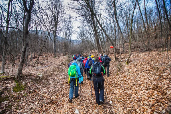 Grupo de Caminhadas de Pessoas Caminhando na Natureza — Fotografia de Stock