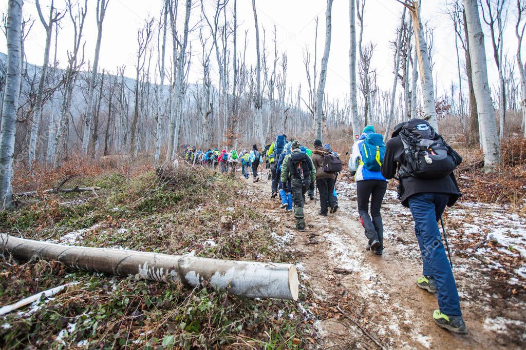 Outdoor Nature Healthy Activity Hiking People Forest Walking 