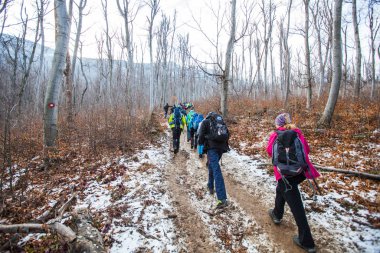 Açık Doğa Sağlıklı Aktivite Ormanda Yürüyen İnsanlar 