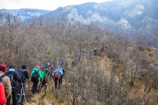 Trekking Group People Outdoor Nature Healthy Activity Mountain Hiking