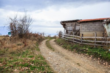 Kırsal yol, kırsal manzara, Sırbistan 'da küçük bir köy.