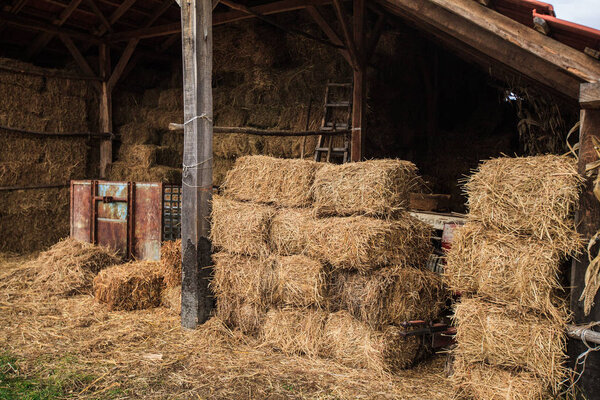 Bales of hay at the rural agricultural farm