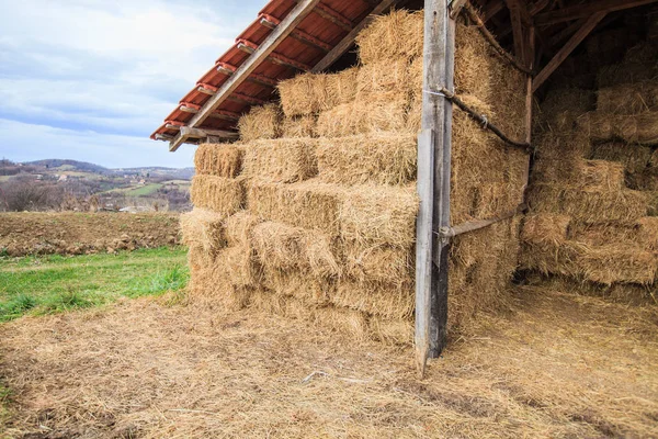 Hooibalen op het landbouwbedrijf op het platteland — Stockfoto