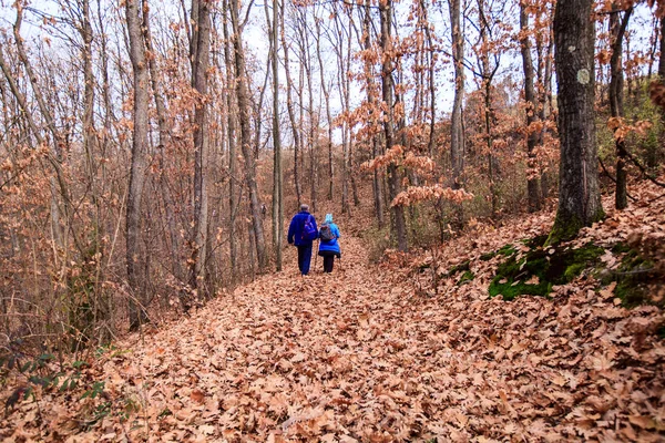 Caminhada de casal na floresta — Fotografia de Stock