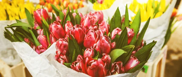 Fresh tulips for sale at street flowers market — Stock Photo, Image