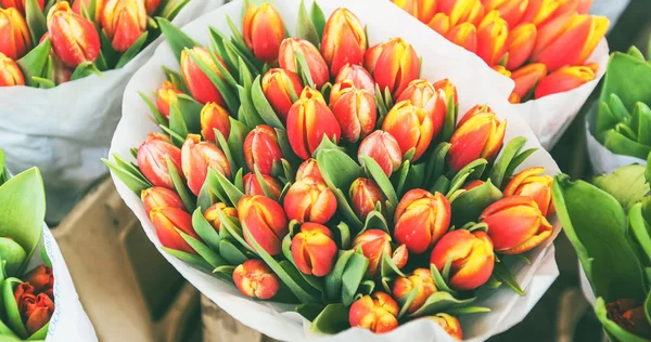 Tulipany na sprzedaż na targu kwiatów ulicy — Zdjęcie stockowe