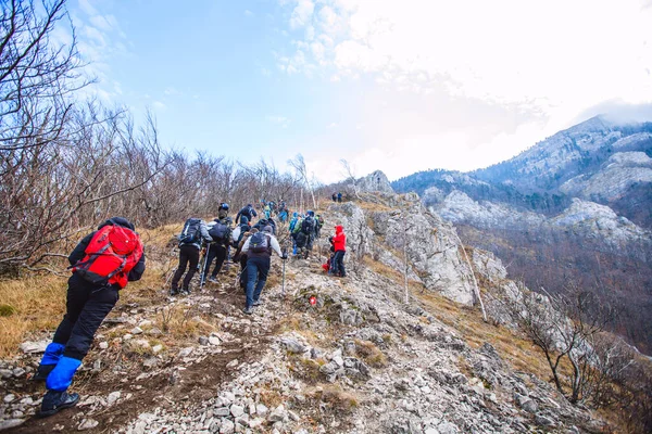 Groupe de trekking Personnes Nature en plein air Activité saine Randonnée en montagne — Photo