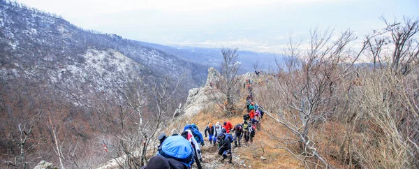 Groep Bergbeklimmers Trekking Winter Mountain Landschap — Stockfoto