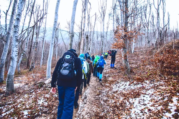 Caminhadas Trekking Nature Mountain Group Pessoas Caminhando Livre Atividade Saudável — Fotografia de Stock