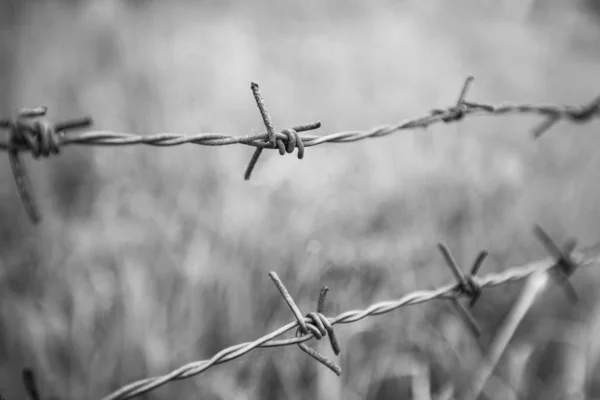 Barbed Wire Fence Migrant Crisis Freedom Concept Zwart Wit Fotografie — Stockfoto
