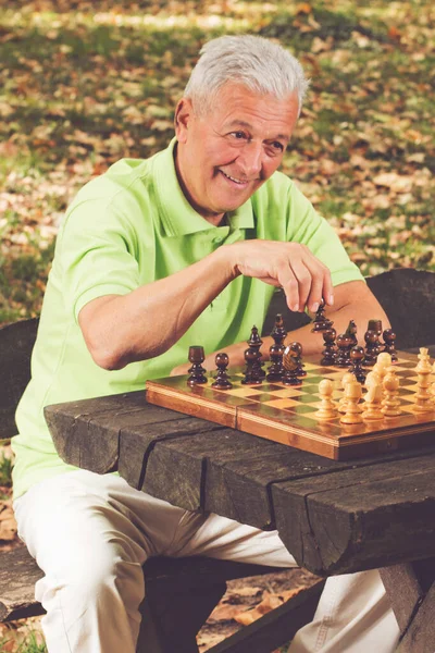 Heureux Homme Âgé Jouant Aux Échecs Dans Parc — Photo