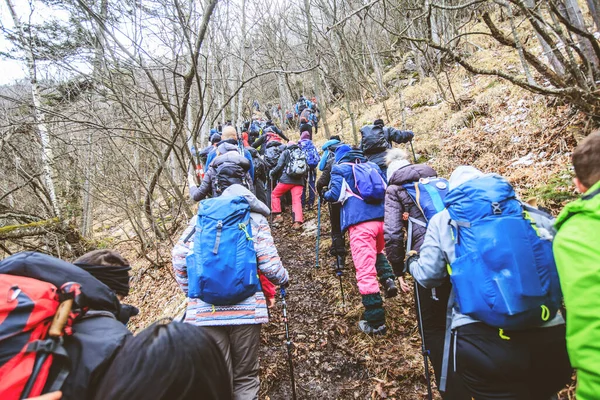 Gezonde Actieve Levensstijl Wandelen Winter Berglandschap Groep Wandelaars Met Rugzakken — Stockfoto