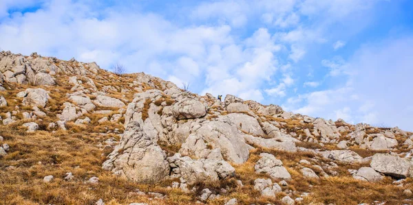 Vue Panoramique Imprenable Sur Nature Idyllique Paysage Hivernal Sur Montagne — Photo