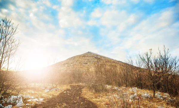 Удивительный Панорамный Вид Идиллический Зимний Пейзаж Природы Горе Ртань Восточная — стоковое фото
