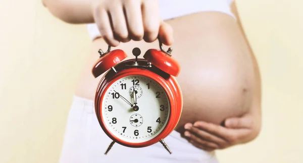 Mulher Grávida Segurando Relógio — Fotografia de Stock