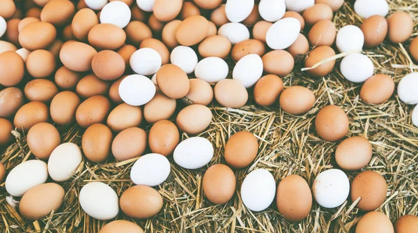販売の準備ができて地元の農家市場の新鮮な国産卵 — ストック写真