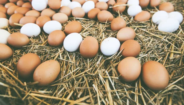 Verse Eieren Lokale Boerenmarkt Gereed Voor Verkoop — Stockfoto