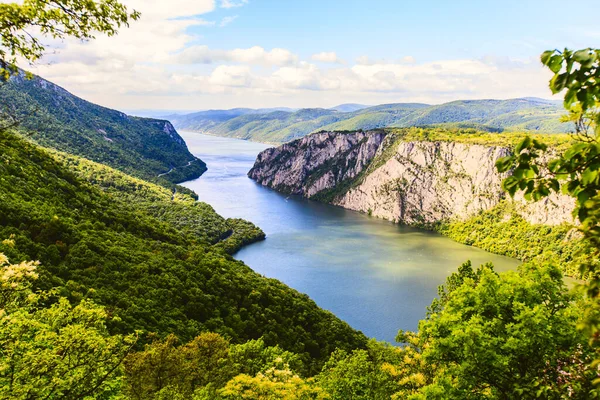 Nanılmaz Doğa Tuna Nehri Manzarası Sırbistan Avrupa Lkbahar Gün Işığı — Stok fotoğraf