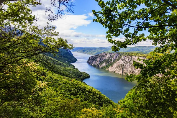 Erstaunliche Natur Flusslandschaft Der Donau Serbien Europa Frühling Tageslicht — Stockfoto