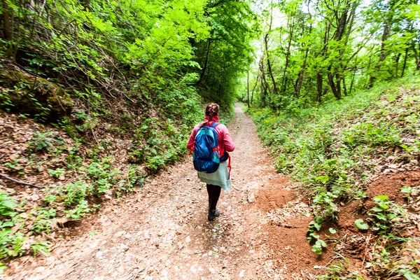 Wandelen Reizen Gezond Leven Actieve Vrouw Met Rugzak Wandelen Een — Stockfoto