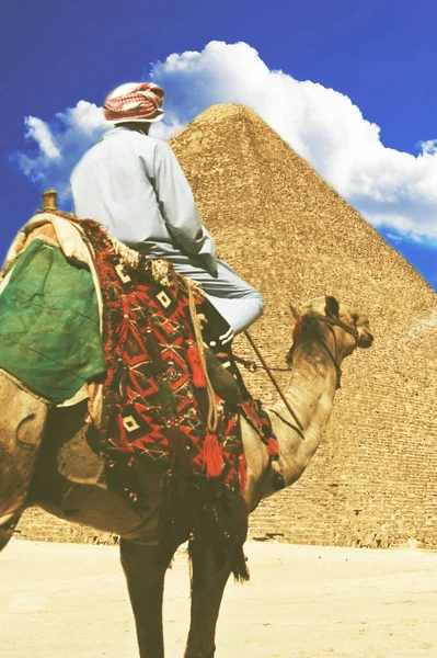 ギザ高原の有名なピラミッドの近くのラクダに乗ってベドウィン — ストック写真