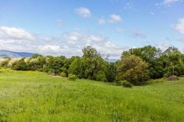 İlkbahar güzel doğa yeşil manzara