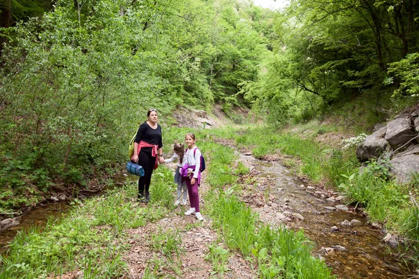 Famille Profitez Nature Promenade Bord Ruisseau Randonnée Personnes Ruisseau Printemps — Photo