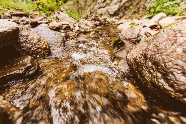 Acqua Dolce Limpida Foresta Torrente Roccioso Giornata Primaverile Nella Natura — Foto Stock