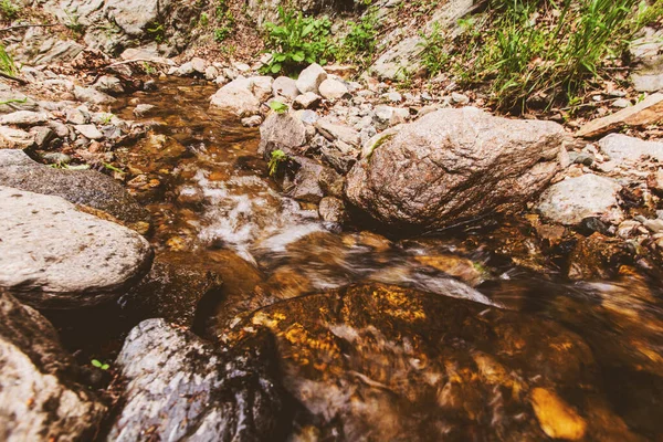 Acqua Dolce Limpida Foresta Torrente Roccioso Giornata Primaverile Nella Natura — Foto Stock