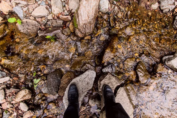 Eau Douce Claire Ruisseau Rocheux Forestier Jour Printemps Dans Nature — Photo