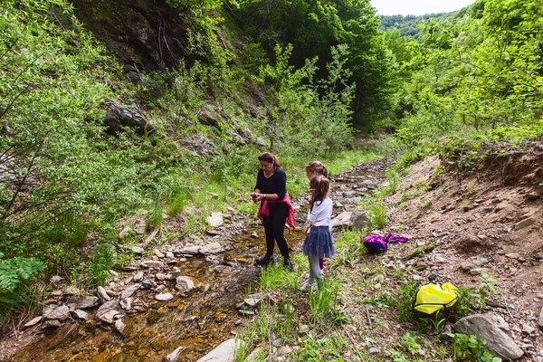 Perhe Nauttia Luonnosta Kävely Creek Patikointi Ihmiset Stream Kevät — kuvapankkivalokuva