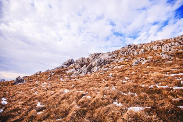 Atemberaubender Panoramablick Auf Die Idyllische Natur Winterlandschaft Auf Dem Berg — Stockfoto
