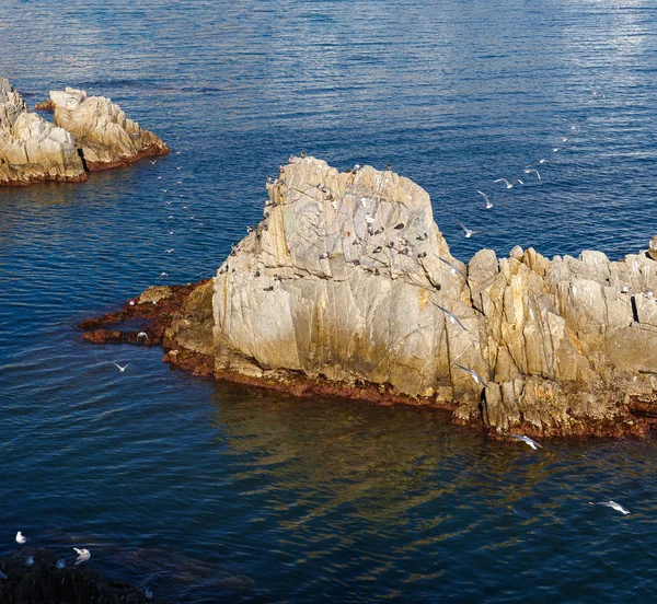 科斯塔布拉瓦海堆栈上空飞离航迹的鸟类踪迹, — 图库照片