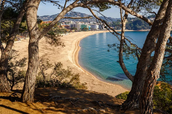 Aerial View Fenals Beach Lloret Costa Brava Catalonia — Stock Photo, Image