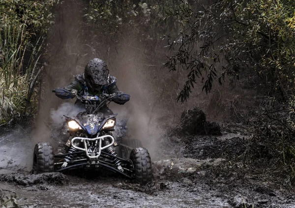 Fahrer auf Quad Stockfoto