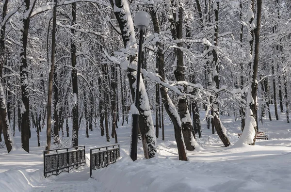 Kışın şehir parkı