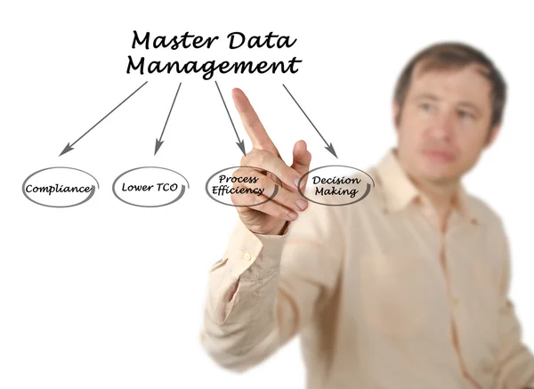 Schema di gestione dei dati master — Foto Stock