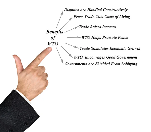 Diagram van de voordelen van de Wto — Stockfoto