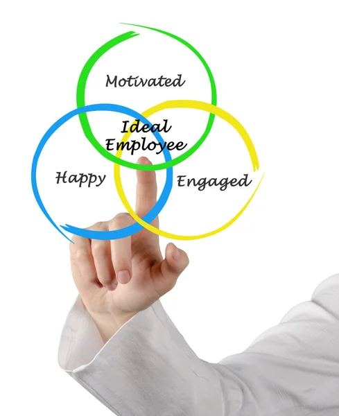 Diagrama do empregado ideal — Fotografia de Stock