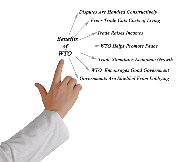 Diagrama de los beneficios de la OMC — Foto de Stock