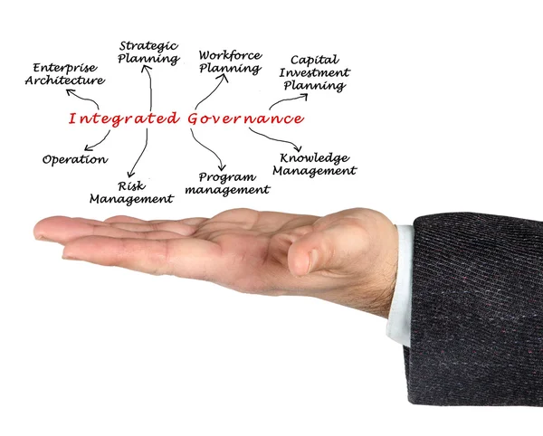 Diagram of Integrated Governance — Stock Photo, Image