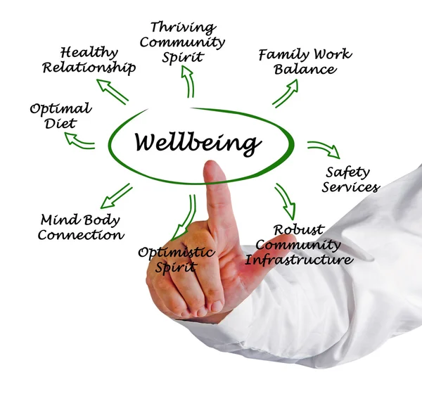 Presentation of Diagram of Wellbeing — Stock Photo, Image