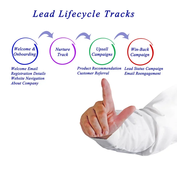 Diagram of Lead Lifecycle Tracks — ストック写真