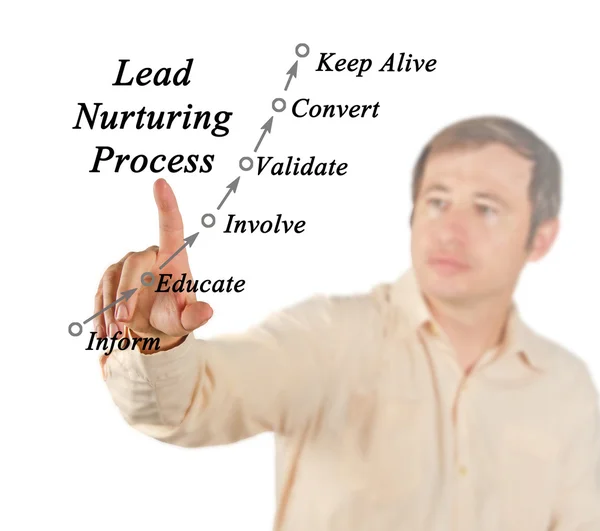 Diagram of Lead Nurturing Process — Stock Photo, Image