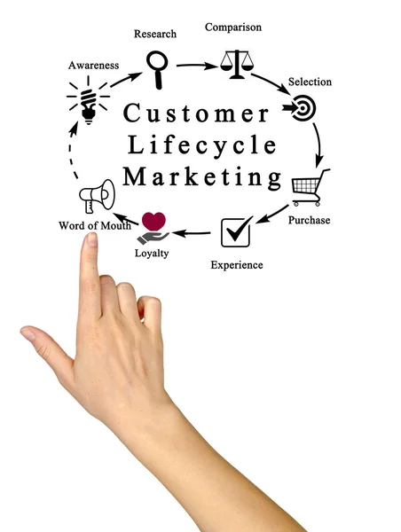 Diagram van de Customer Lifecycle Marketing — Stockfoto