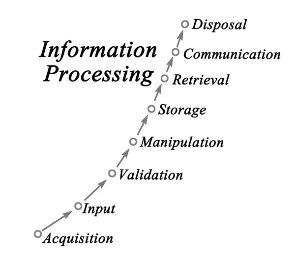Диаграмма обработки информации — стоковое фото