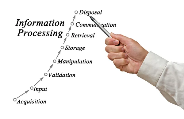 Diagramma di elaborazione delle informazioni — Foto Stock