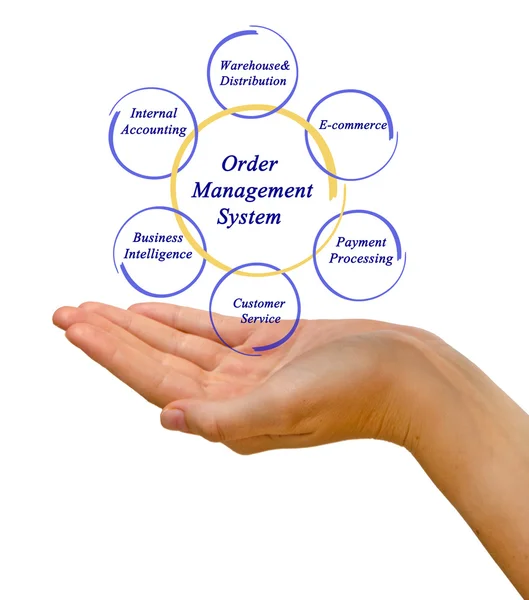 Schema del sistema di gestione degli ordini — Foto Stock