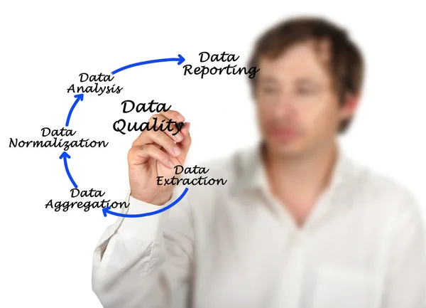 Diagram of Data Quality — Stock Photo, Image